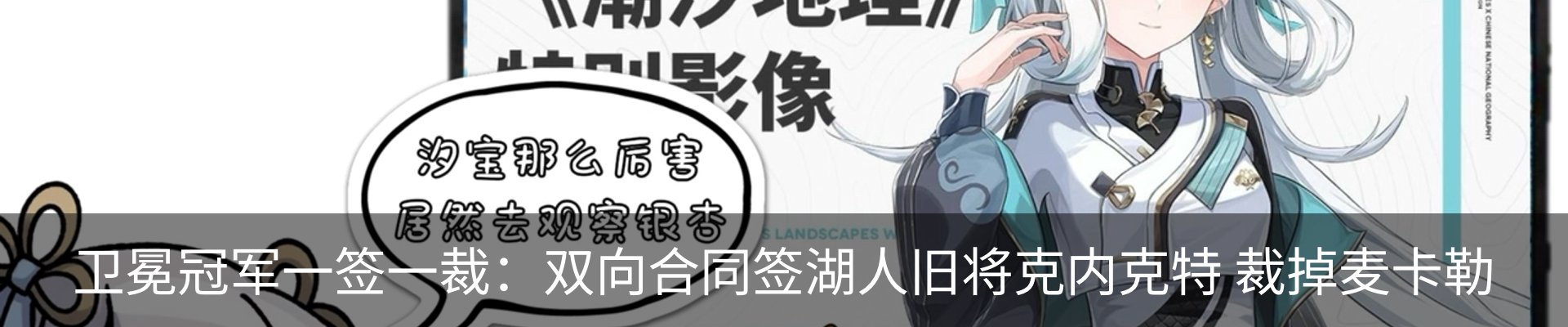 新闻动态