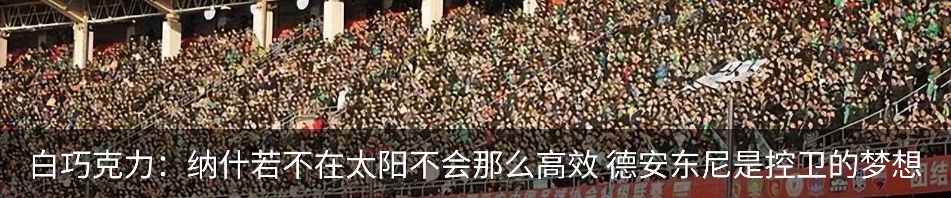 新闻动态